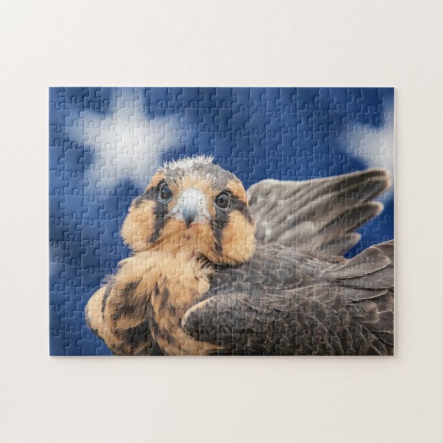 Puzzle ADiplomado Falcon avec drapeau (Horizontal)