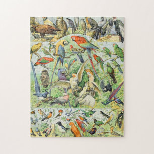 Puzzle Adolphe Millot A