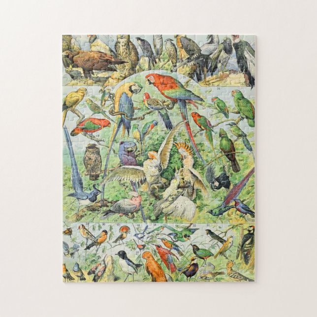 Puzzle Adolphe Millot birds A (Vertical)