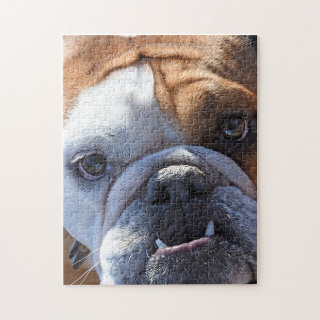 Puzzle Adorable Bulldog (Vertical)