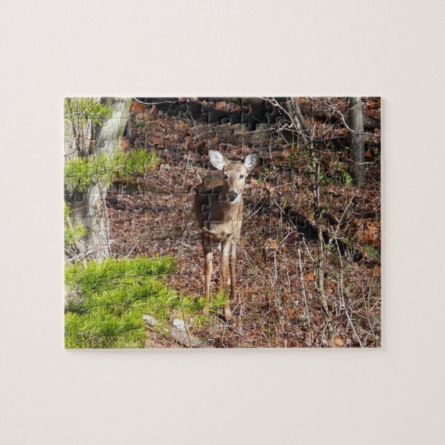 Puzzle Adorable Cerf dans les Bois Photographie de la nat (Horizontal)