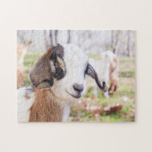Adorable et amusant bébé chèvre animal Jigsaw Puzz