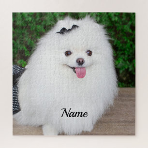 Puzzle Adorable Fluffy White Chien Chien