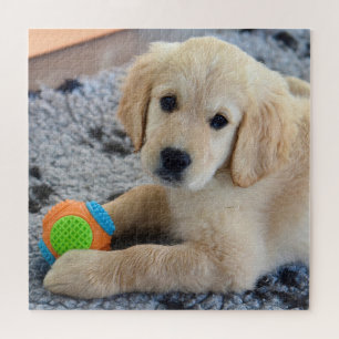 Puzzle Adorable Golden Retriever Puppy