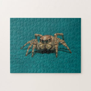 Puzzle Adorable Jumping Spider Animal Photographie