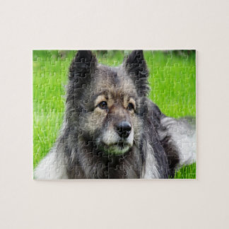 Puzzle Adorable Keeshond