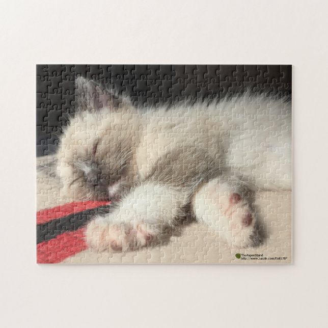 Puzzle Adorable Kitten dormant Photographie (Horizontal)