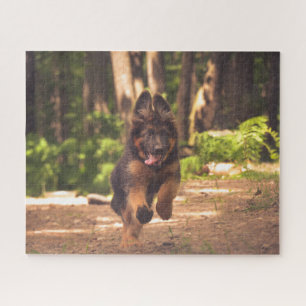 Puzzle Adorable Long Haired German Shepherd Puppy