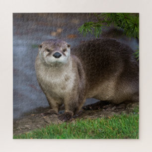 Puzzle Adorable Otter sur la Riverbank