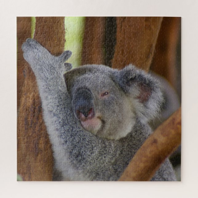 Puzzle Adorable Ours Koala (Vertical)