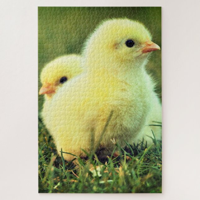 Puzzle Adorables Poulettes - Douces - (Vertical)