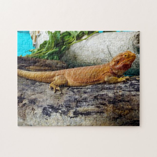 Puzzle Adult Bearded Dragon Lizard (Horizontal)