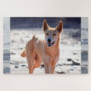 Puzzle Adulte Dingo Dog