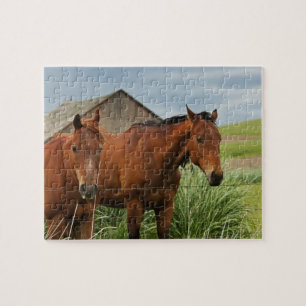 Puzzle Affichage des chevaux dans un champ de la Palouse 