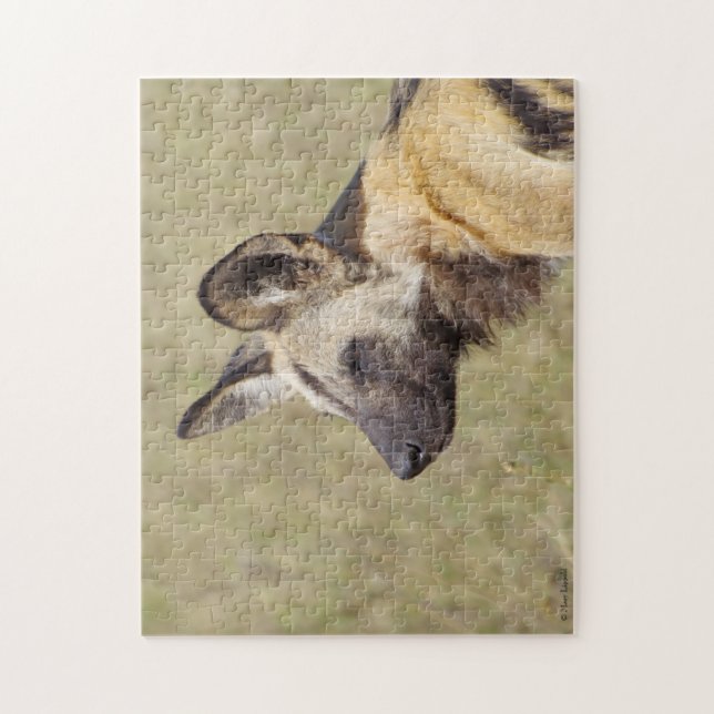 Puzzle africain de chien sauvage (Vertical)