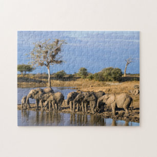 Puzzle African Bush Elephant