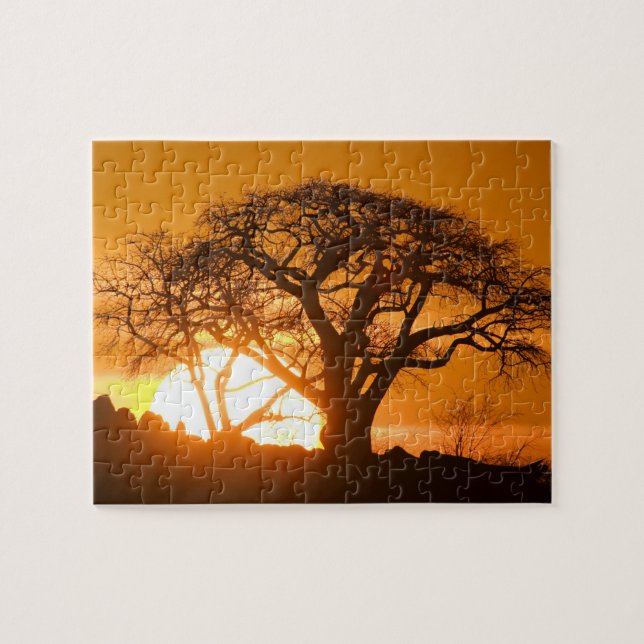 Puzzle Afrique, Botswana, Coucher de soleil silhouette Ba (Horizontal)