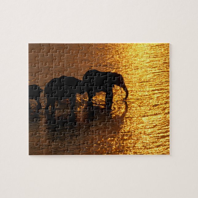 Puzzle Afrique, Botswana, Delta de l'Okavango. Africain (Horizontal)