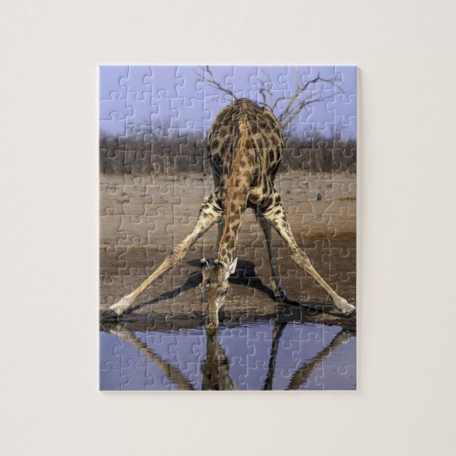 Puzzle Afrique, Botswana, Parc national de Chobe, Girafe (Vertical)