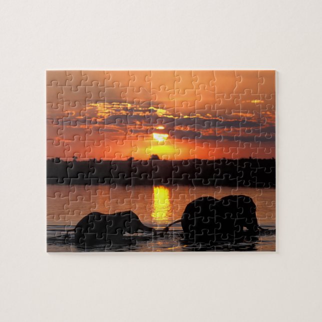 Puzzle Afrique, Botswana, Parc national de Chobe, Herd (Horizontal)