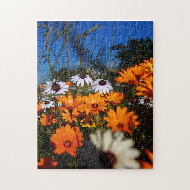 Puzzle Afrique du Sud Wild Namaqualand Fleurs (Vertical)
