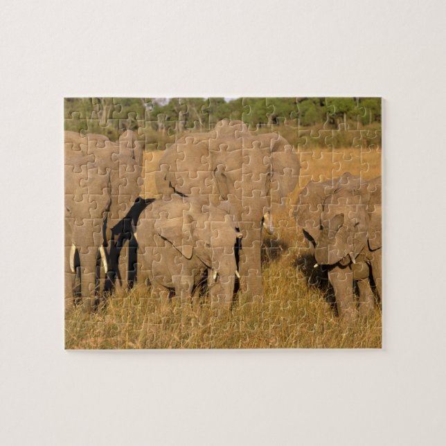 Puzzle Afrique, Kenya, Masai Mara. Éléphant d'Afrique (Horizontal)