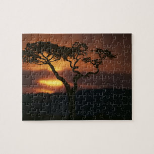 Puzzle Afrique, Kenya, Masai Mara Game Reserve, Cadre