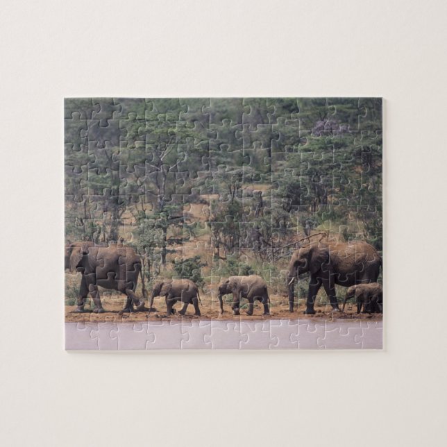 Puzzle Afrique, Kenya, Nanyuki, Mpala. Africains (Horizontal)