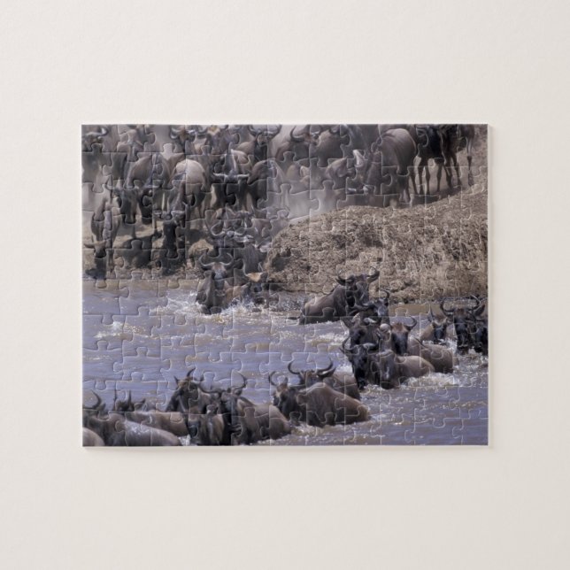 Puzzle Afrique, Kenya, Parc national du Masaï Mara. (Horizontal)