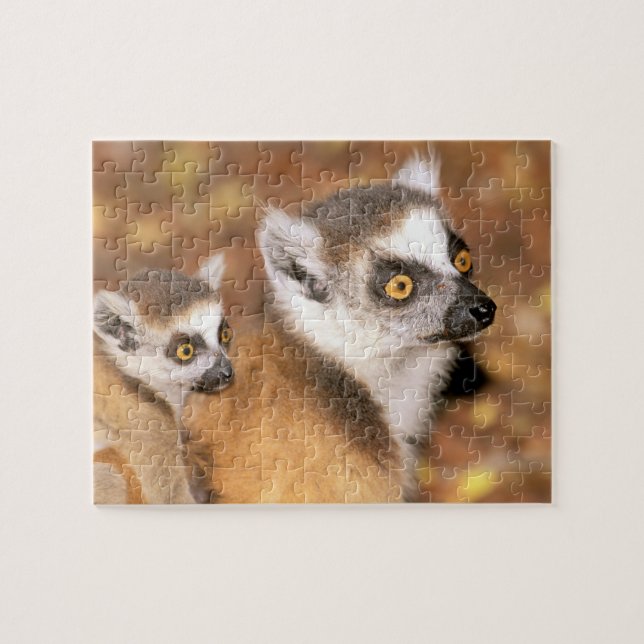 Puzzle Afrique, Madagascar, Berenty Private Reserve. (Horizontal)