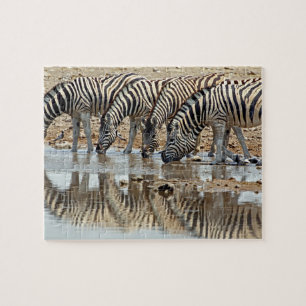 Puzzle Afrique, Namibie, Parc national d'Etosha. Zèbre de