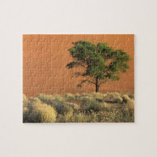 Puzzle Afrique, Namibie, Parc national du Namib, Sossusvl