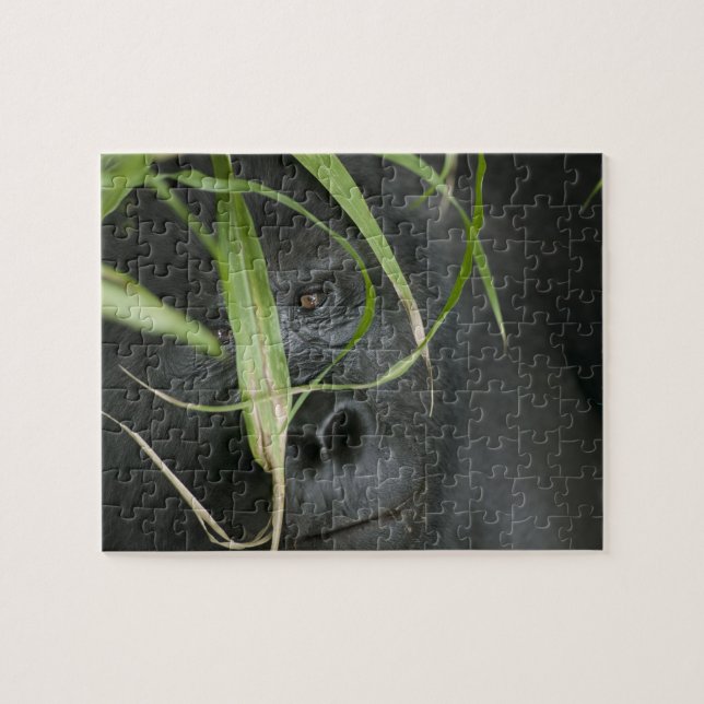 Puzzle Afrique, Ouganda, Bwindi (Horizontal)