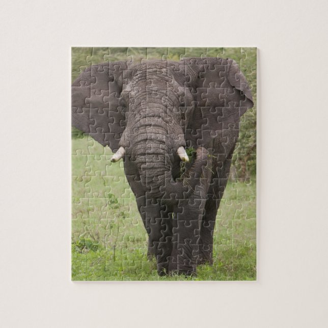 Puzzle Afrique Tanzanie Éléphant dans le cratère de Ngoro (Vertical)