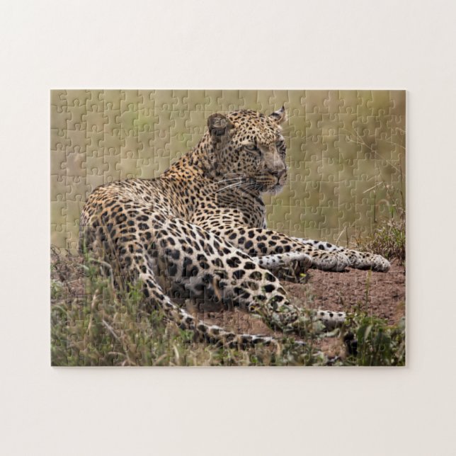 Puzzle Afrique, Tanzanie, Serengeti. Leopard (Horizontal)