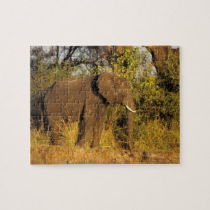 Puzzle Afrique, Zimbabwe, Parc national des chutes Victor