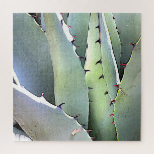 Puzzle Agave Succulent Plant Cactus Green