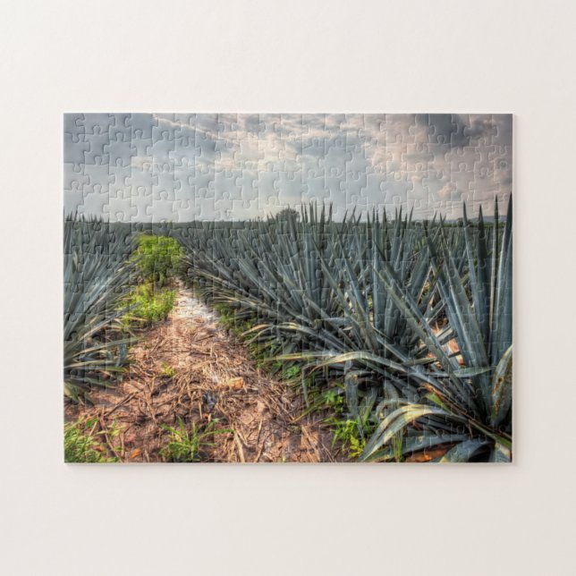 Puzzle Agave Tequilana (Horizontal)