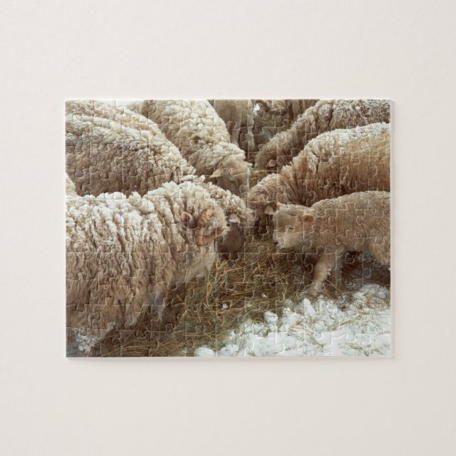 Puzzle Agneau (Horizontal)