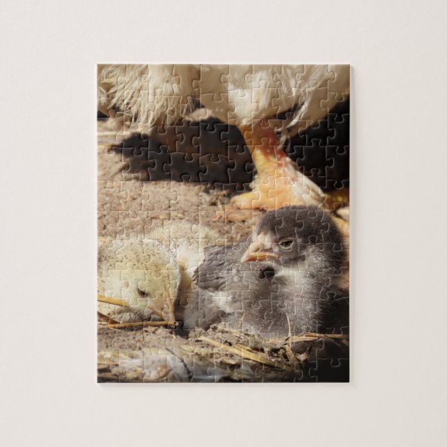 Puzzle agriculture, animal, art, bébé, bec, oiseau, (Vertical)