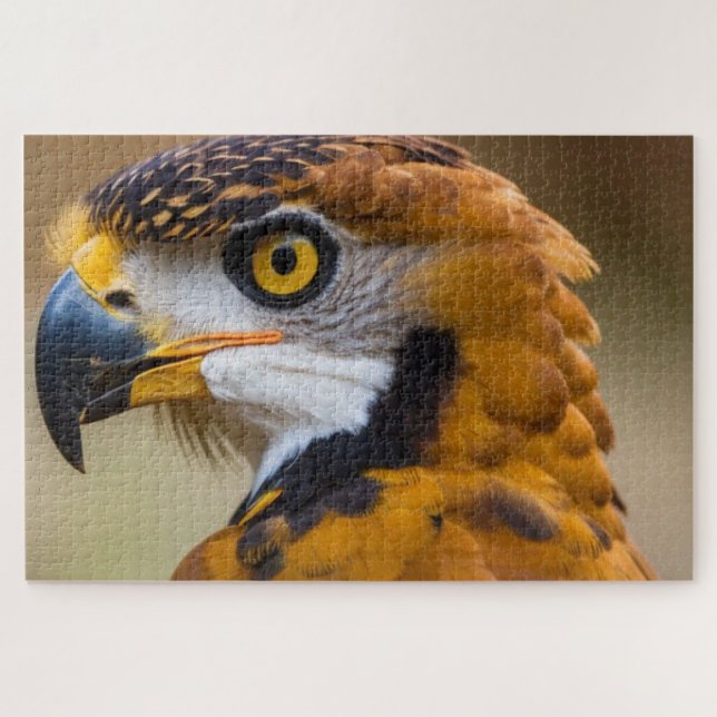 Puzzle Aigle (Horizontal)