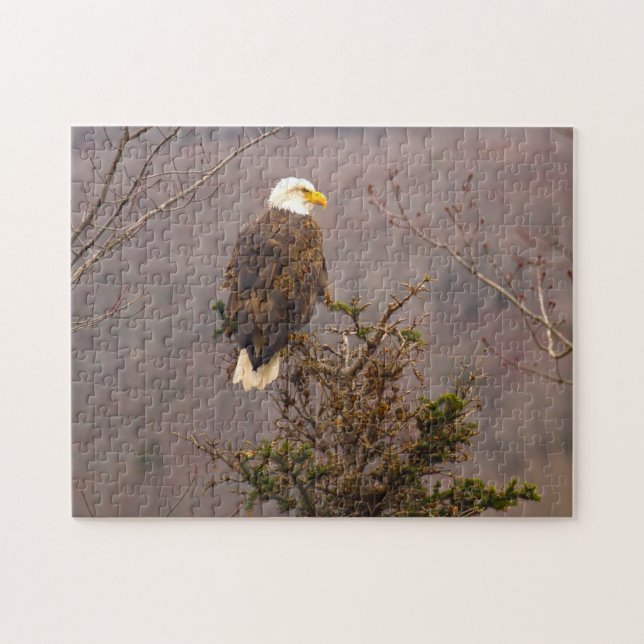 Puzzle Aigle à tête blanche Nouvelle-Écosse Canada. Puzzl (Horizontal)