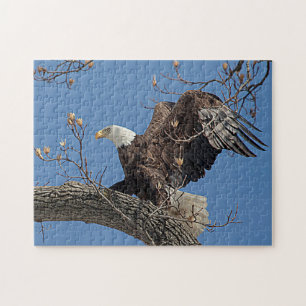 Puzzle Aigle à tête blanche sur une branche d'arbre