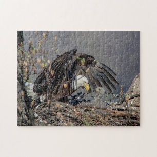 Puzzle Aigle avec son bébé