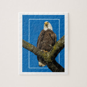 Puzzle Aigle Bald Avec Bordure