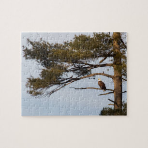 Puzzle Aigle Balle Dans Un Arbre À Pins