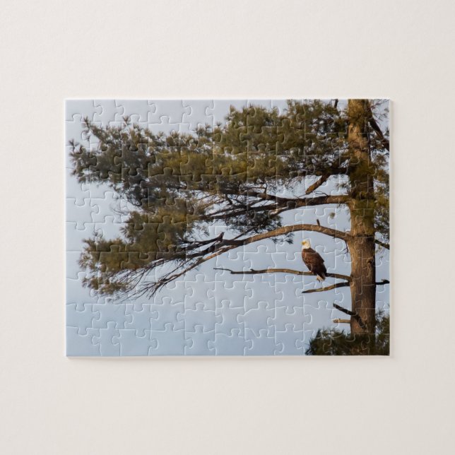 Puzzle Aigle Balle Dans Un Arbre À Pins (Horizontal)