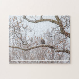 Puzzle Aigle Balle En Neige