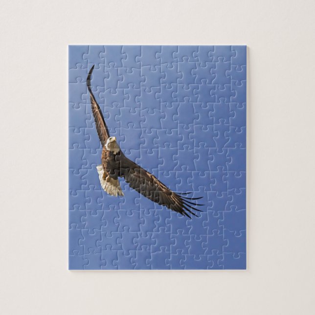 Puzzle Aigle chauve (Vertical)