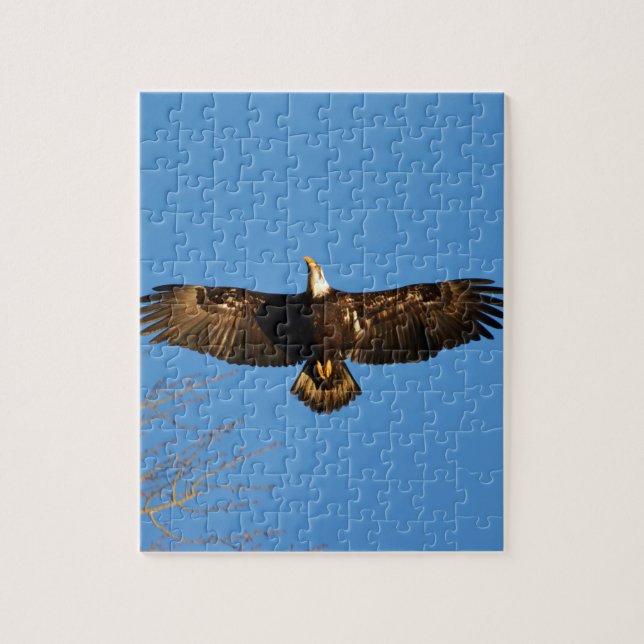 Puzzle Aigle chauve en vol1 (Vertical)